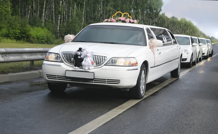 Tips For Booking Wedding Transportation In Advance in Punta Gorda, FL Tips For Booking Wedding Transportation In Advance in Punta Gorda, FL